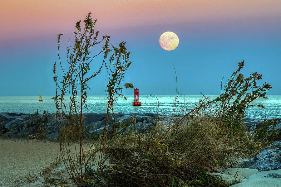 Super Moon 2016 Photograph by Jerry Gammon