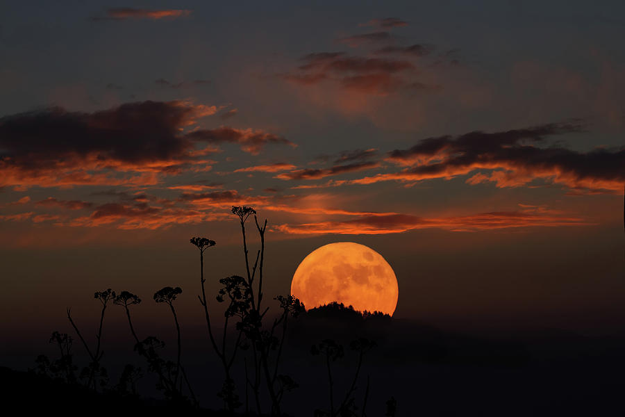 Super Moon and Silhouettes Photograph by John Haldane
