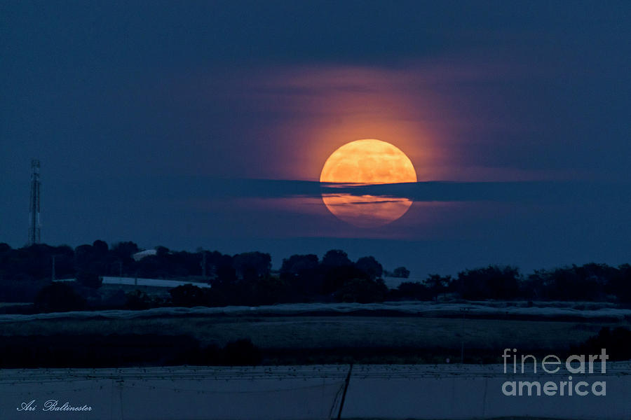 Super Moon Photograph by Arik Baltinester