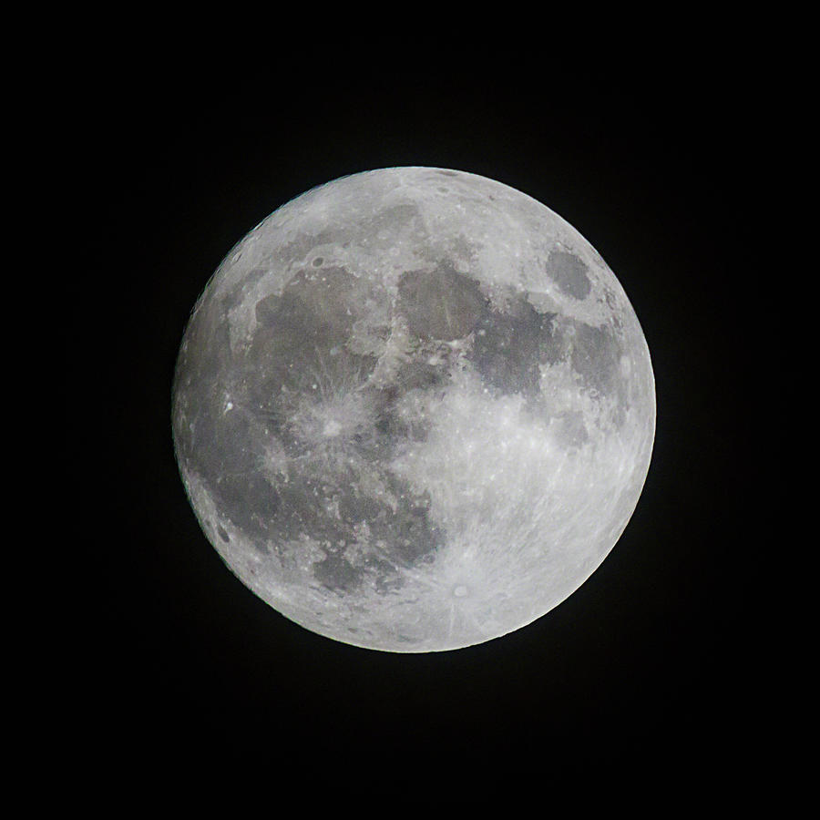 Super Moon As Seen in Florida Photograph by Dawn Currie