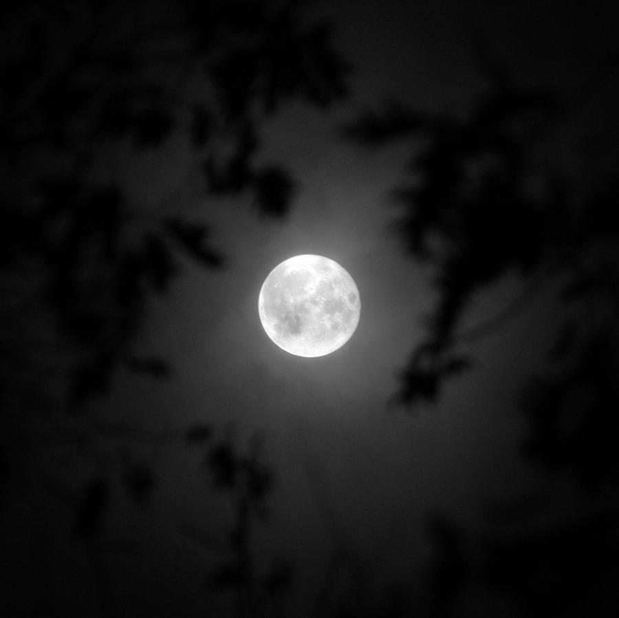 Super Moon at Midnight Photograph by Kris Kiley | Fine Art America