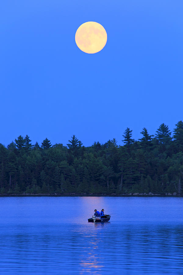 Super Moon at the Lake Photograph by Barbara West