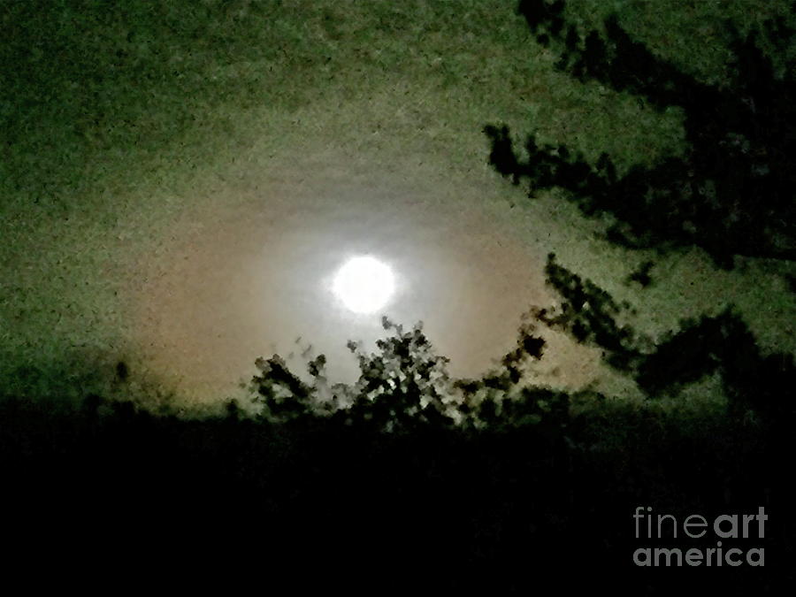 Super Moon Aura Photograph by Barbara Plattenburg