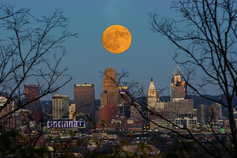 Cincinnati Photograph - Super moon city thru the trees by Randall Branham