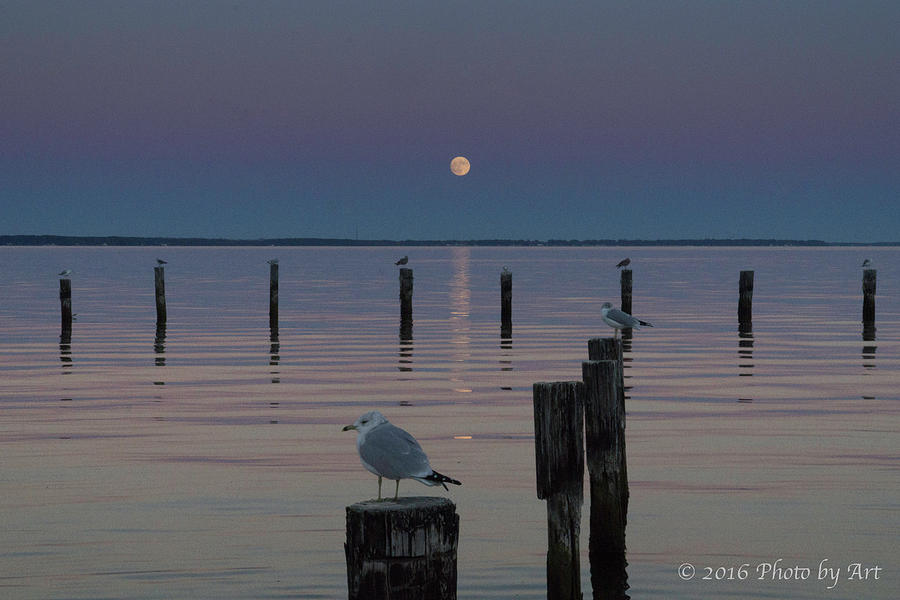 Super Moon Photograph - Super Moon Colonial Beach VA by Arthur English Super Moon Photograph - Super Moon Colonial Beach VA by Arthur English