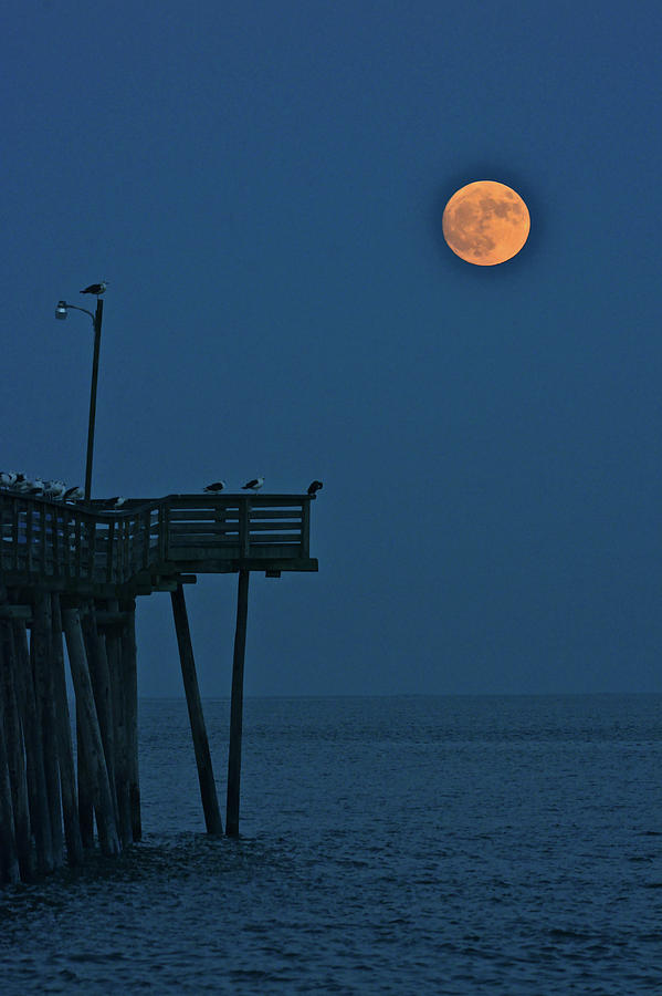 Super Moon Contre Nuit Photograph by Don Mercer