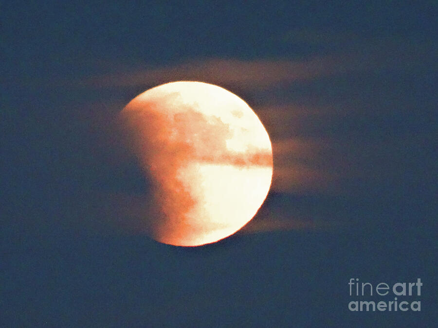 Super Moon Eclipse Photograph by Eunice Warfel