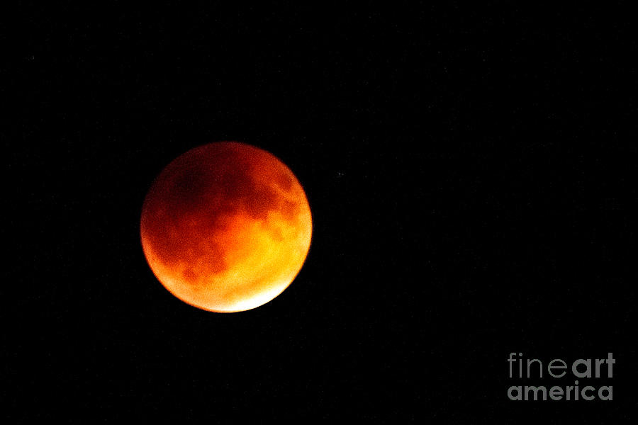 Space Photograph - Super Moon Eclipse  by Robert Bales
