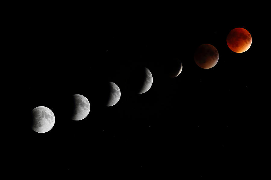 Super Moon Lunar Eclipse Photograph by Barbara West