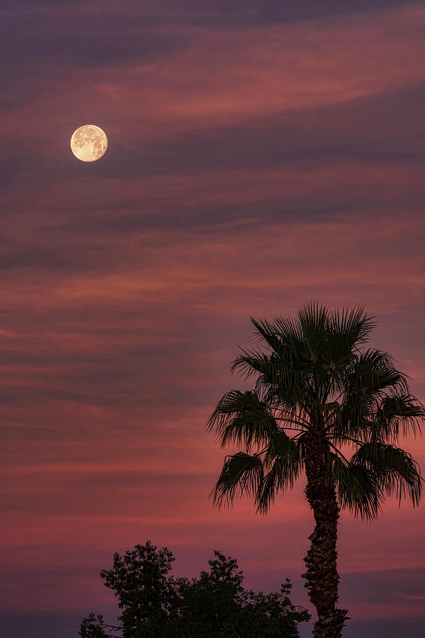 Super Moon Moonset  Photograph by Saija Lehtonen