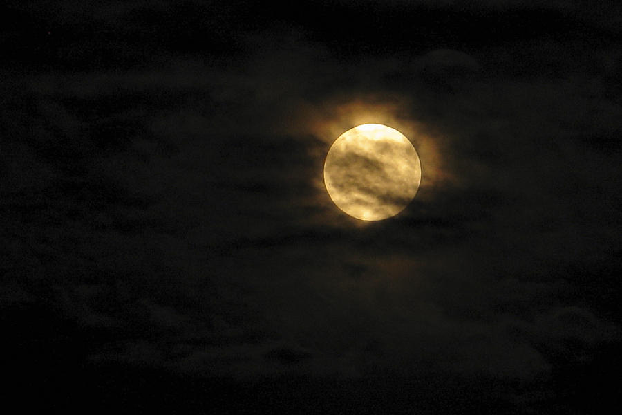 Full Photograph - Super Moon Night by Kim Lessel