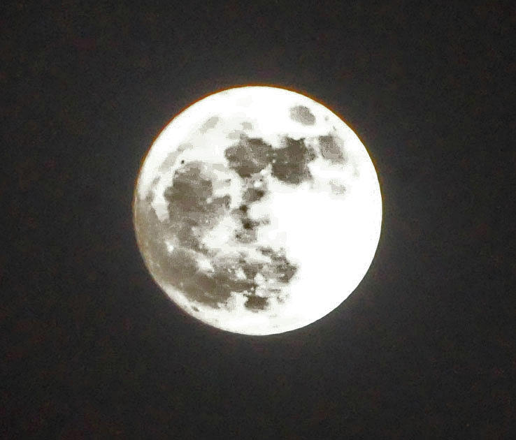 Super Moon November 2016 Photograph by Jay Milo
