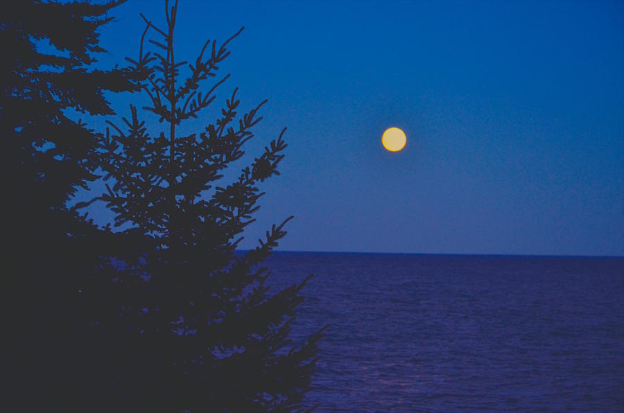 Super Moon Over Lake Superior Photograph by Hella Buchheim
