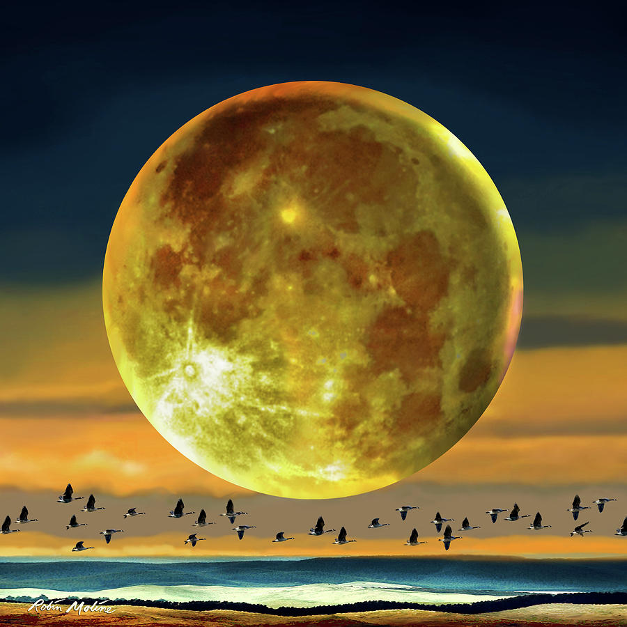 Fall Digital Art - Super Moon over November by Robin Moline