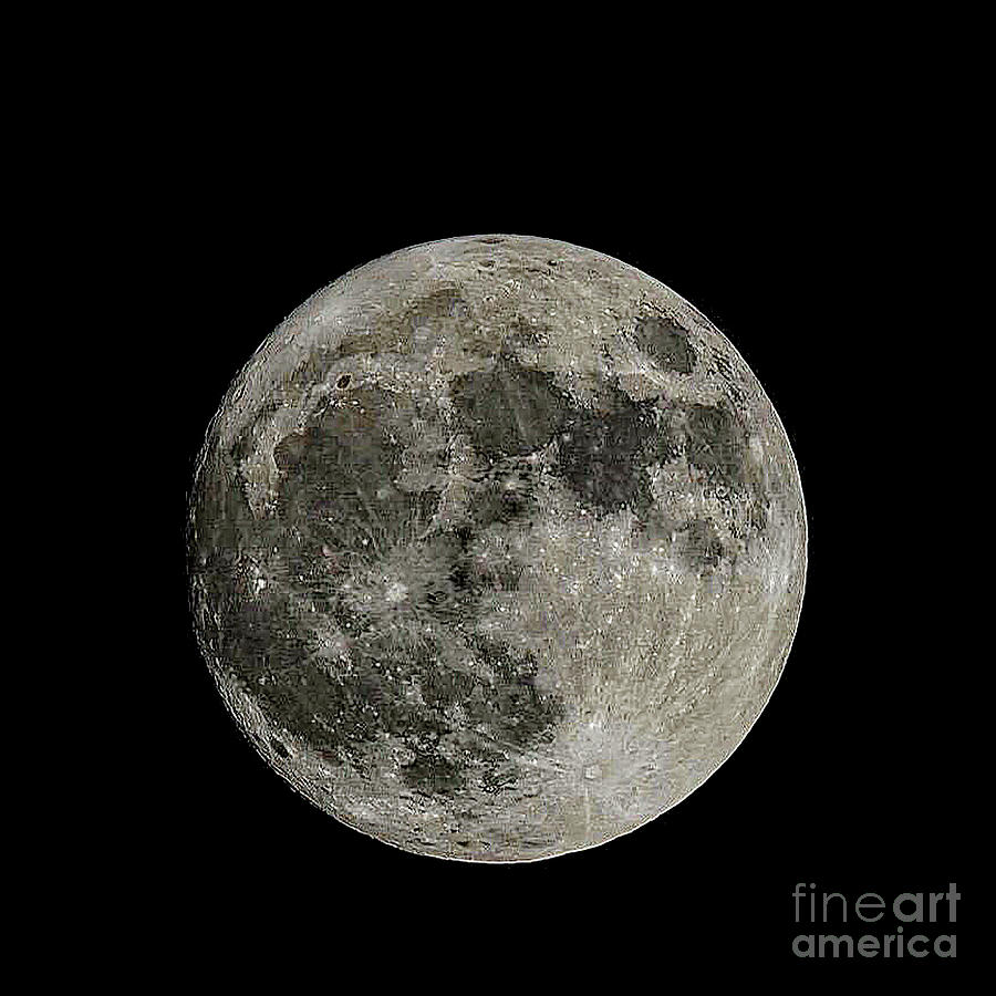 Super Moon Photograph by Peggy Franz