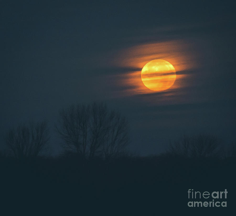 Super Moon Setting Photograph by Cheryl Baxter