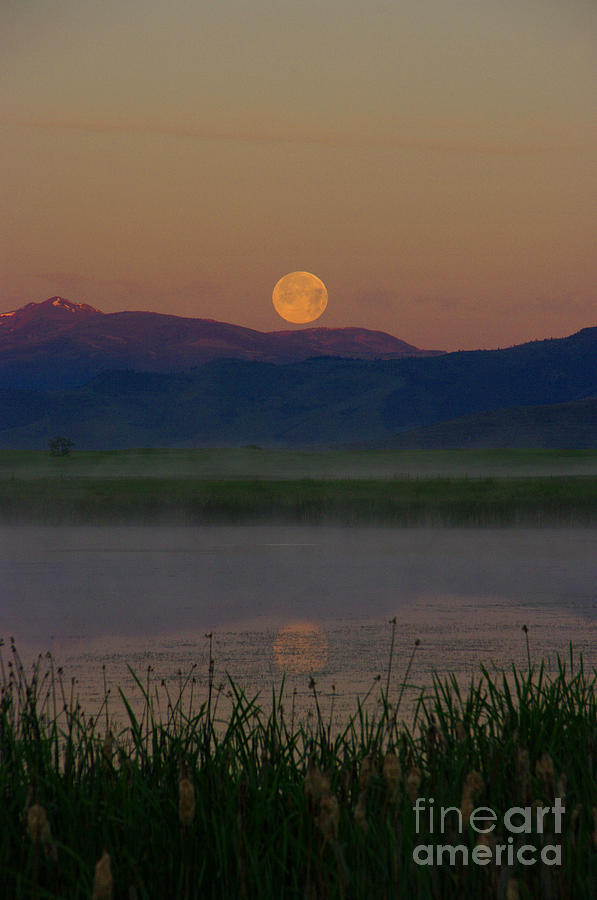 Nature Photograph - Super Moon Setting by Larry Kjorvestad