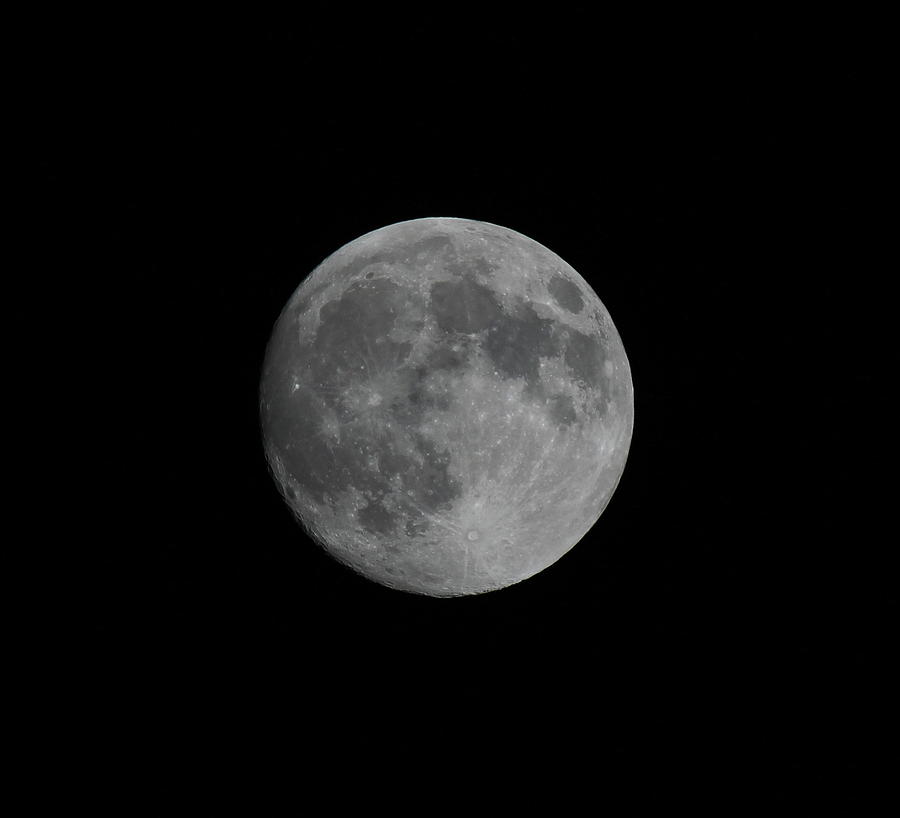 Super Moon Photograph by Trent Mallett