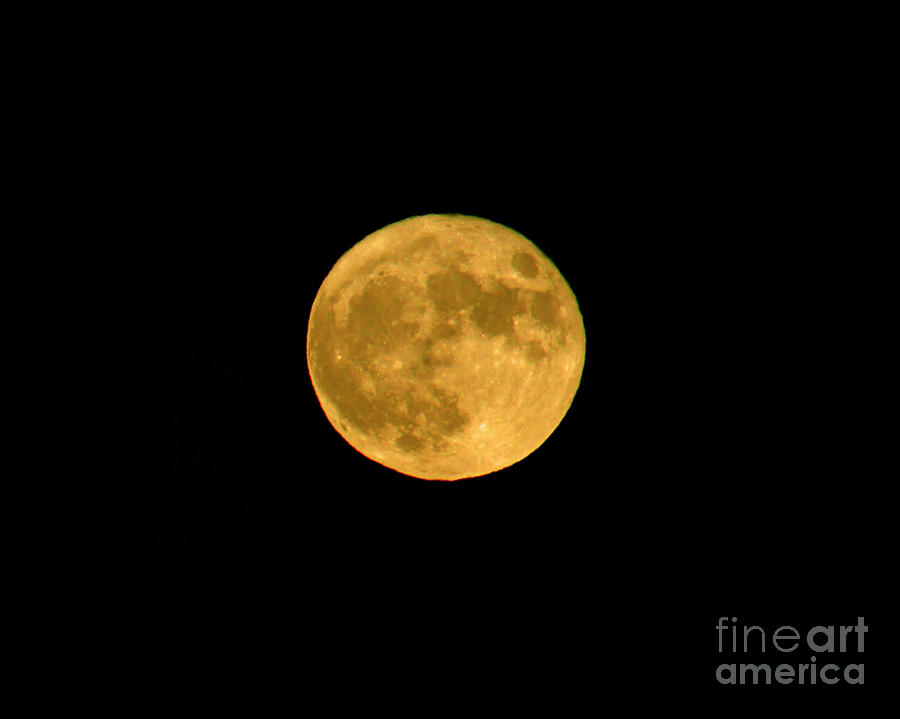 Super Moonrise Photograph by Alana Ranney
