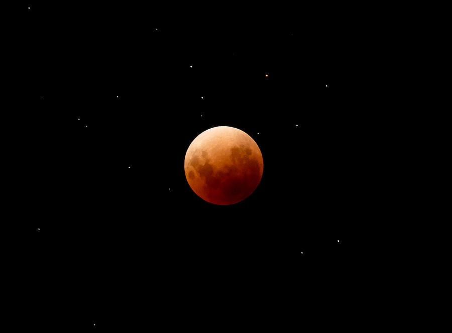 Moon Photograph - Super Red Blue Moon Eclipse by Evelyn Tambour