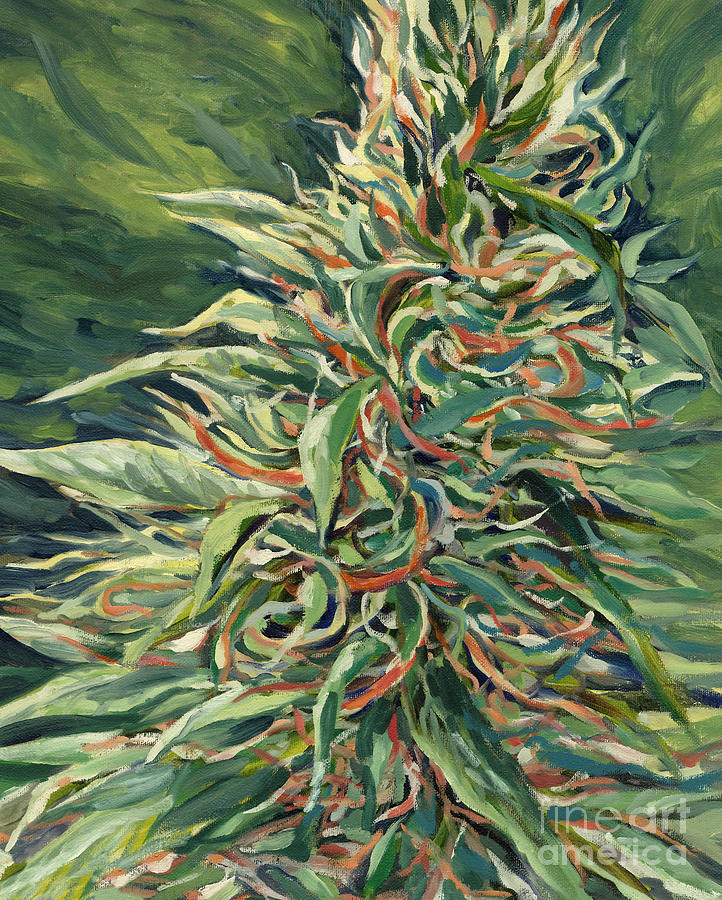 Flower Painting - Super Silver Haze by Mary Jane