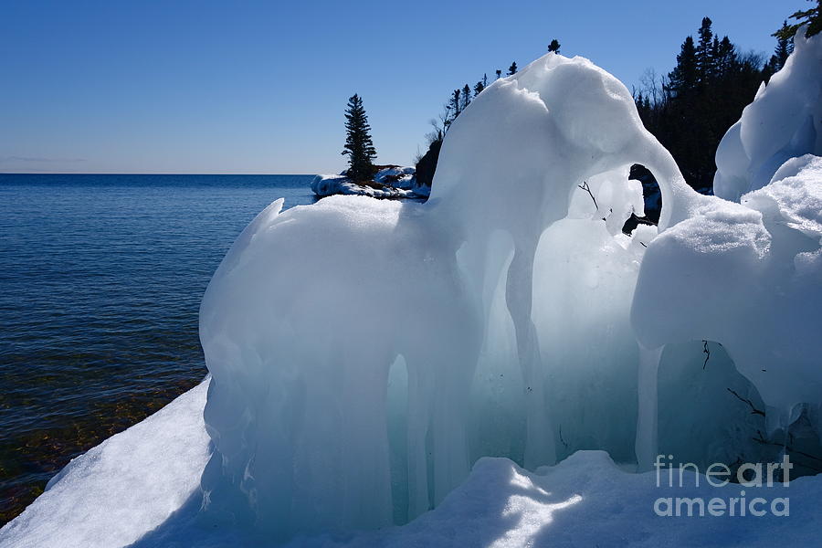Superior Ice Elephants Photograph by Sandra Updyke