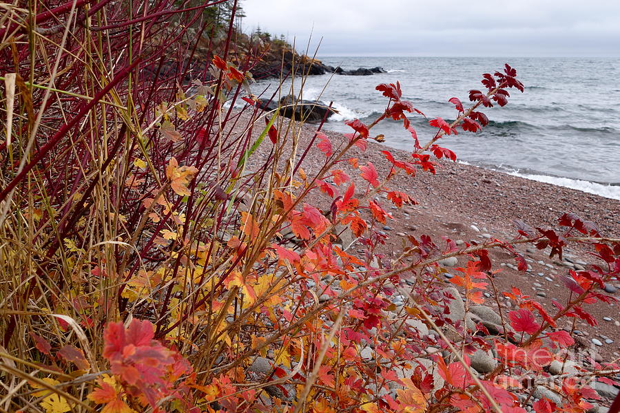 Superior November Color Photograph by Sandra Updyke