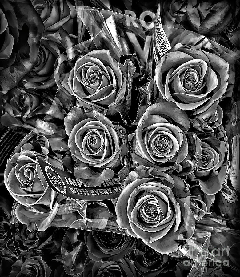 Supermarket Roses Photograph by Walt Foegelle