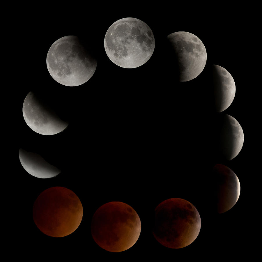 Supermoon Eclipse Photograph by Don West - Pixels