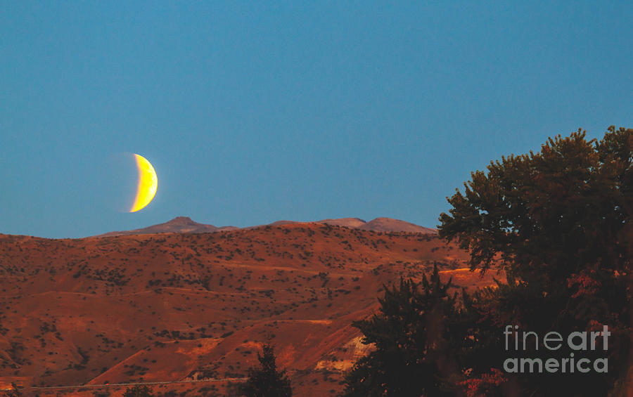 Supermoon Eclipse Over The Foothills Photograph by Robert Bales