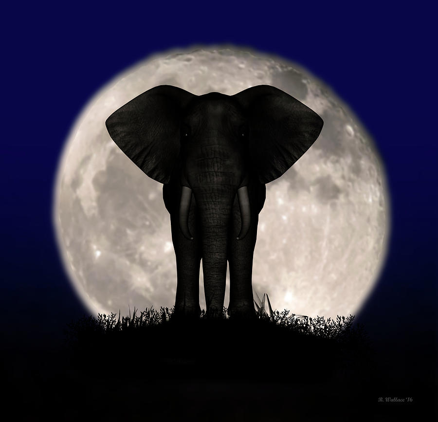 Supermoon Elephant Silhouette Photograph by Brian Wallace