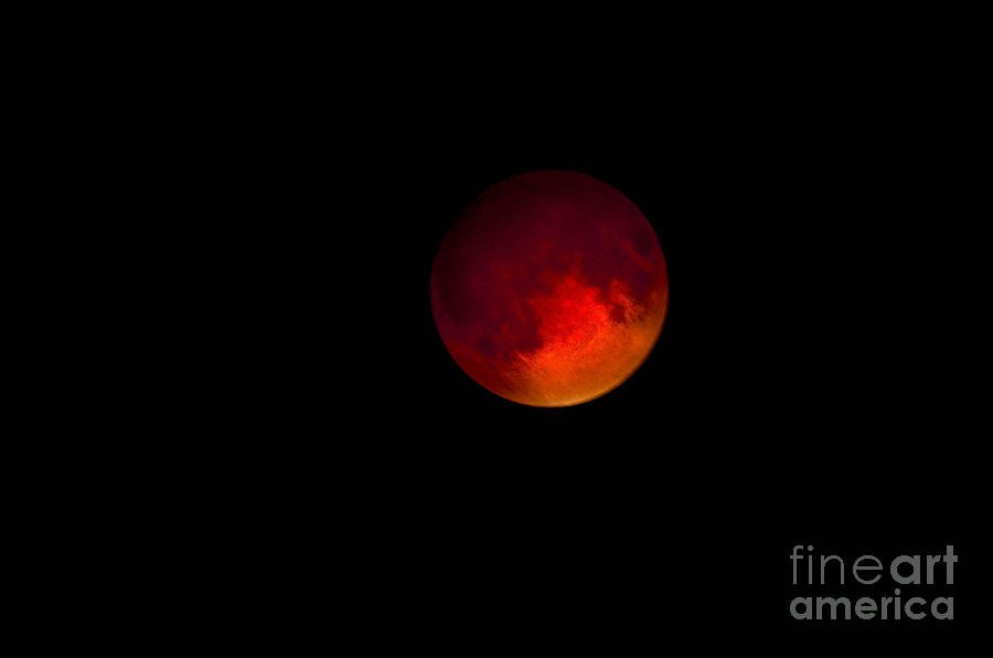 Supermoon Lunar Eclipse Photograph by Amy Porter