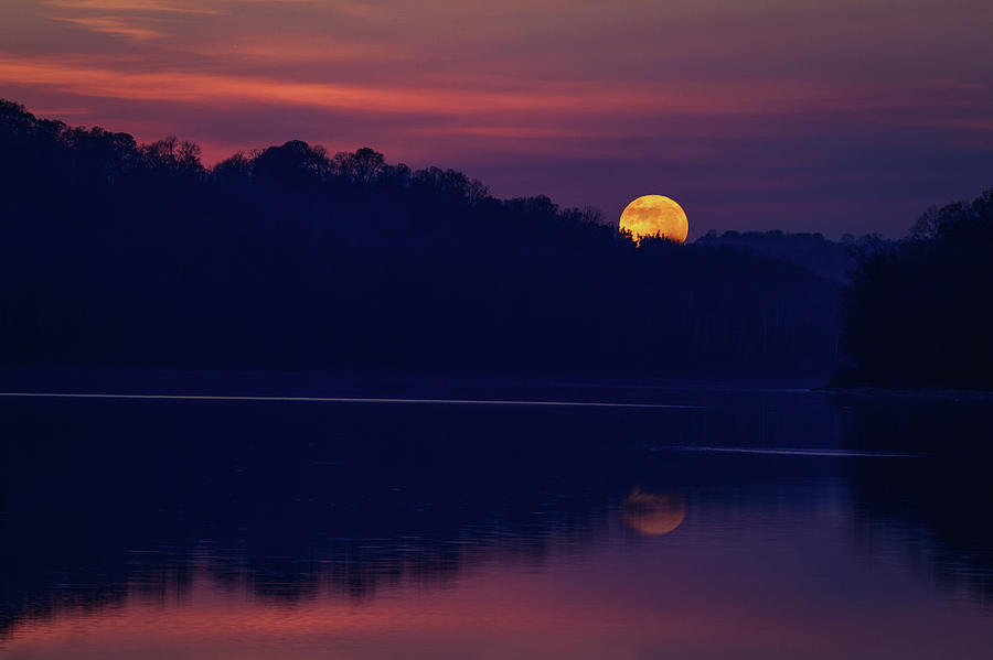 Tree Photograph - SuperMoon over Lake by Victoria Winningham