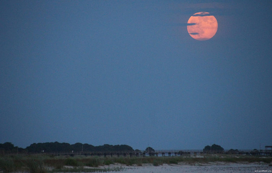 Supermoon Rising Photograph by Laura Martin - Fine Art America