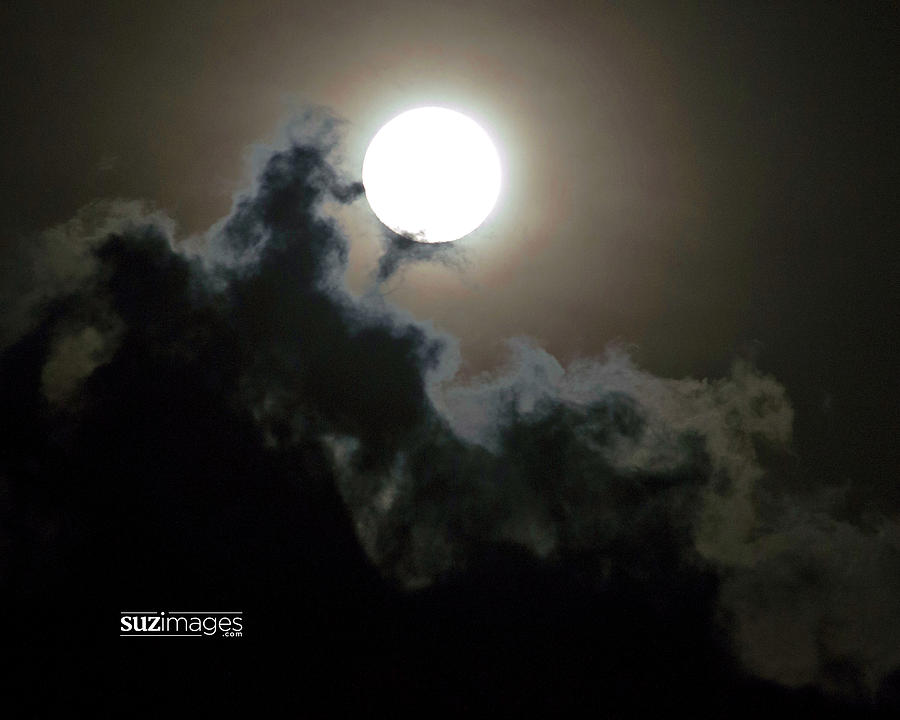 Supermoon by Susie Loechler Supermoon by Susie Loechler