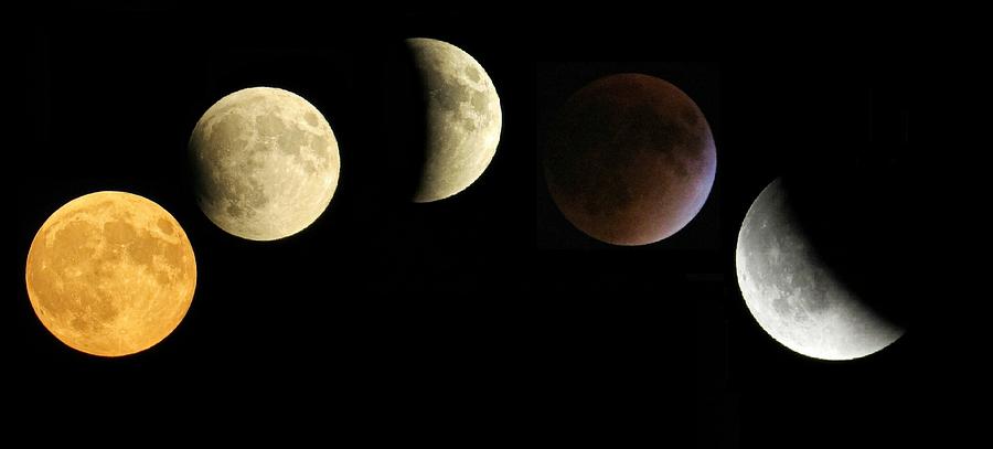 Space Photograph - SuperMoon Total Lunar Eclipse by Nikki Watson    McInnes