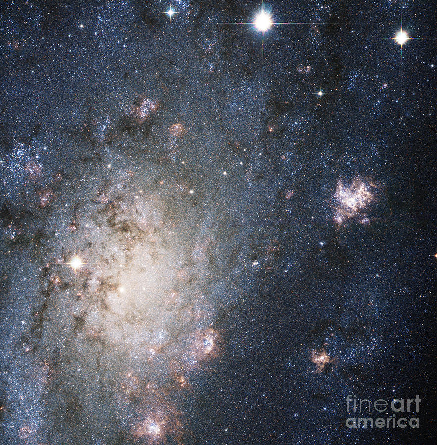 Supernova 2004dj, Outskirts Of Ngc 2403 Photograph by Science Source