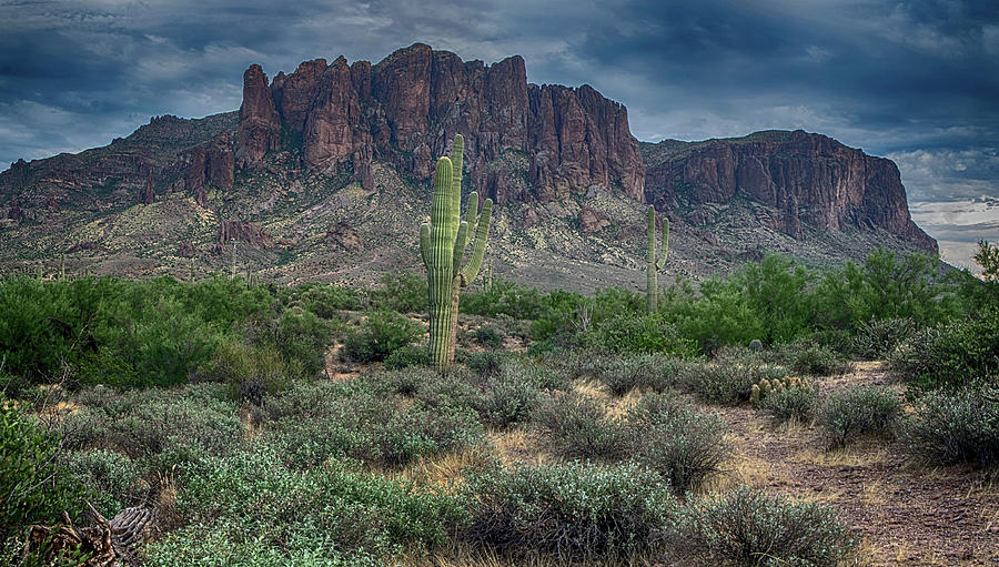 Superstition Mountain 4348-081017-2 pano-H Photograph by Tam Ryan