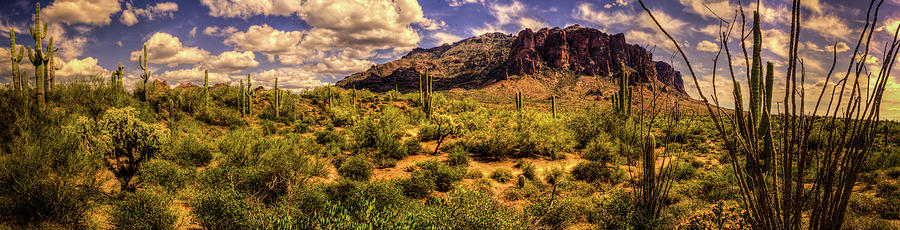 Superstition Mountain and Wilderness Photograph by Roger Passman