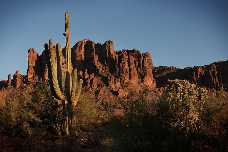 Superstition Mountain Photograph by Bud Simpson