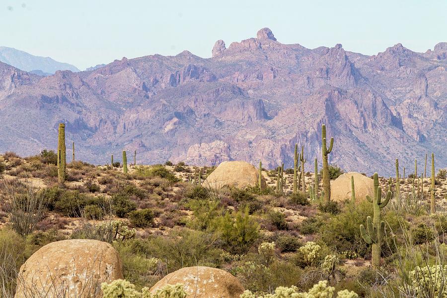 Superstition Mountains Photograph