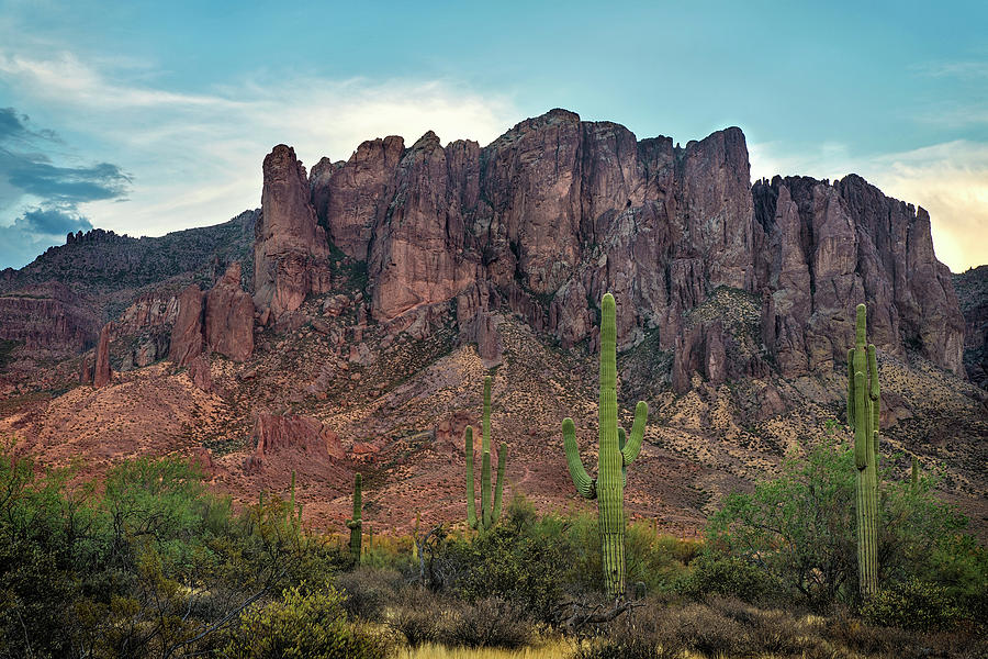 Superstition Mountains and Saguaro Photograph by Dave Dilli