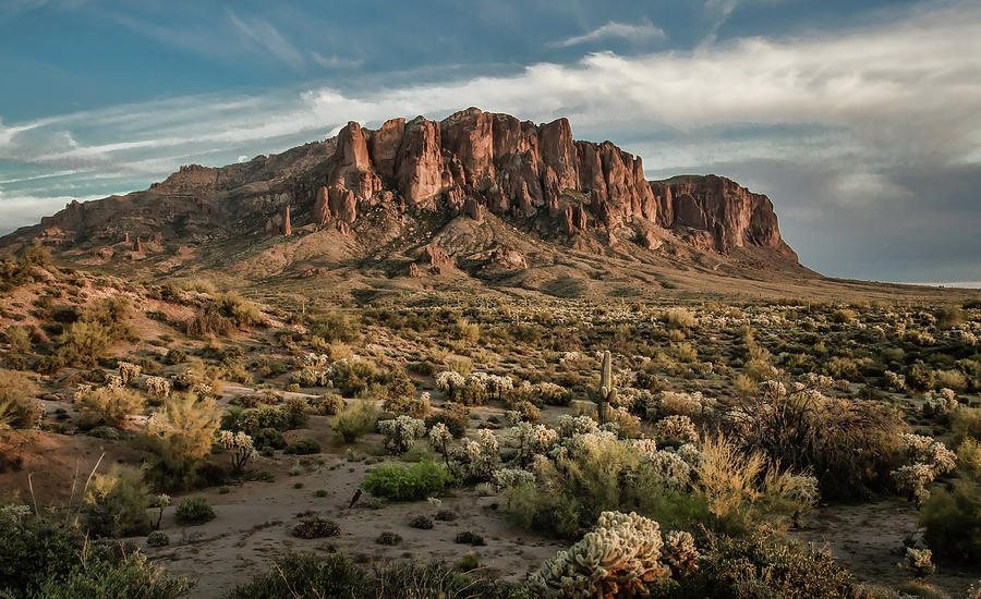 Superstition Mountains in Arizona Photograph by Lori Figueroa