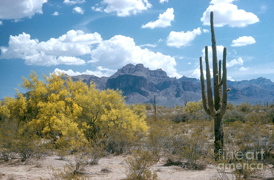 Superstition Mountains Photograph by Photo Researchers, Inc.
