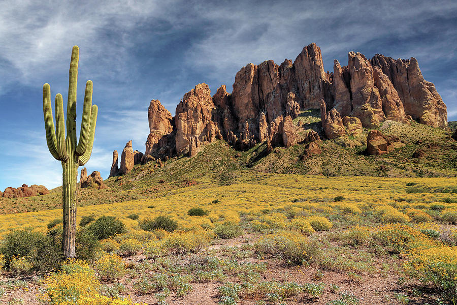Superstition Mountains Saguaro Photograph by James Eddy