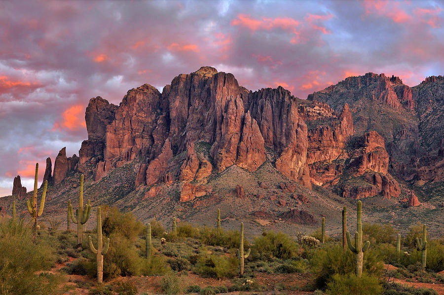 Superstition Mountains Saguaro Sunset Photograph by Dean Hueber - Fine ...