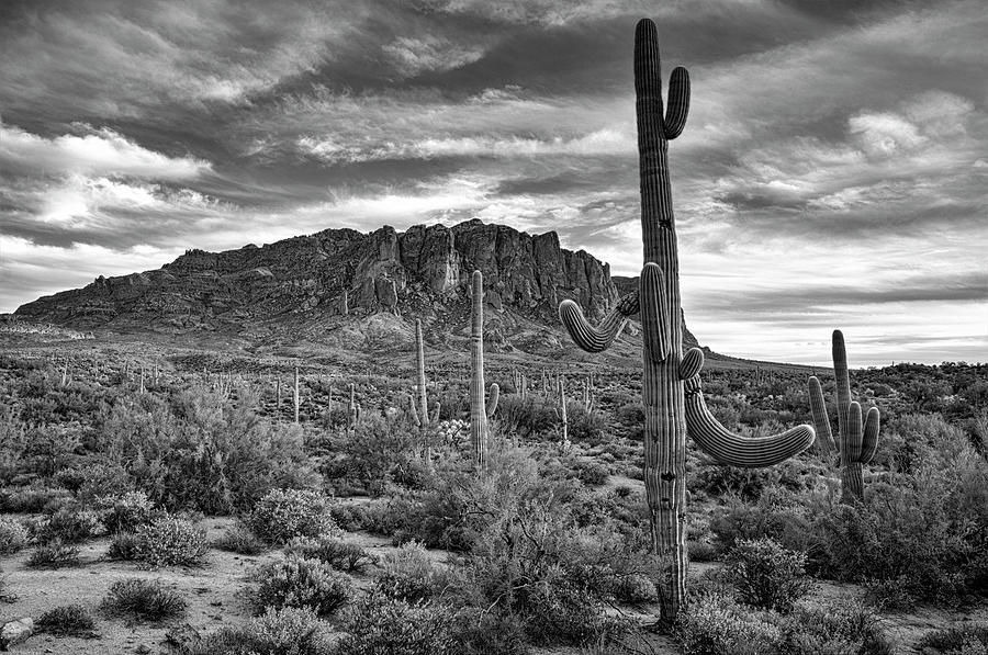 Superstition Serenity in Black and White  Photograph by Saija Lehtonen
