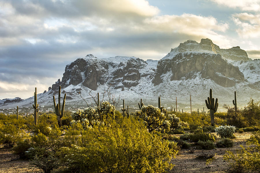 Superstition Snow Photograph by Chuck Brown - Fine Art America