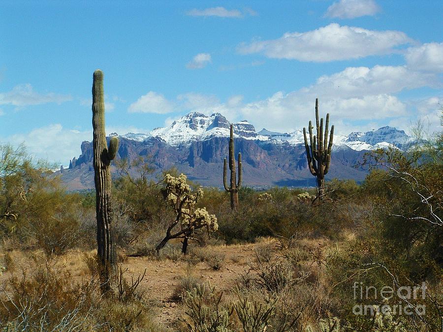 Superstition Snow Photograph by Marilyn Smith