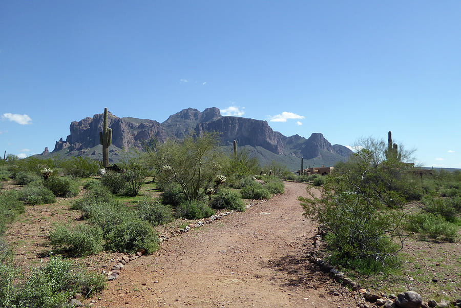 Superstition Trails Photograph by Gordon Beck